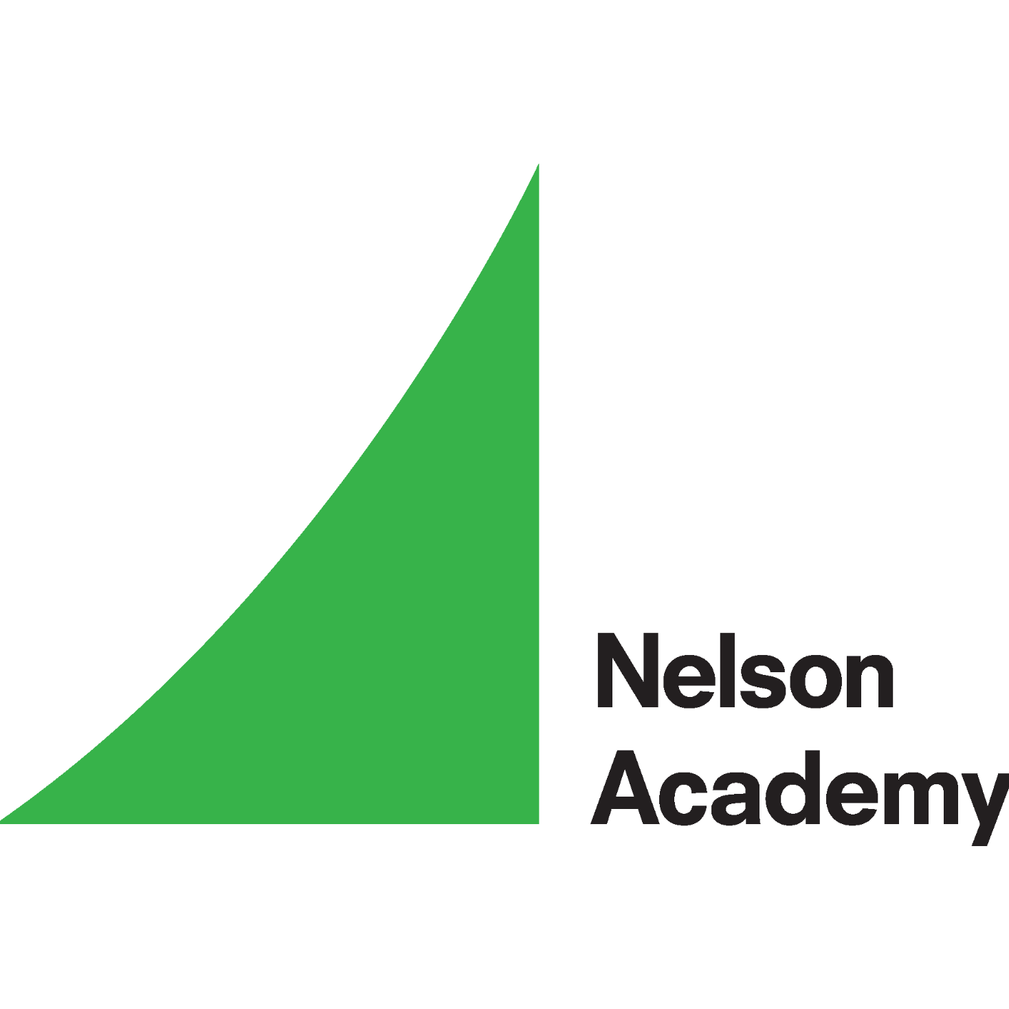 Nelson Academy  logo